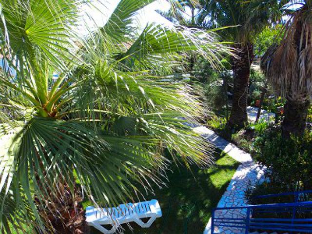 Photos for house 148613