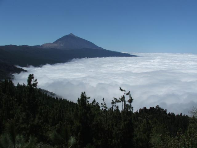 Photos for house 148624