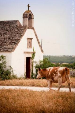 Photos for house 148671