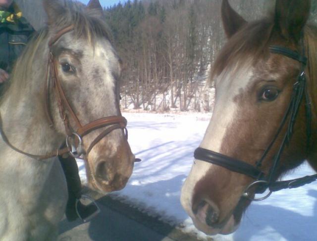 Photos for house 148713