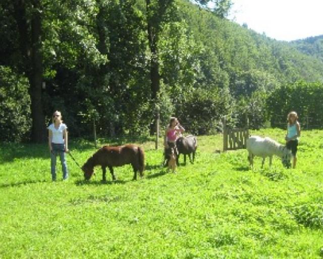 Photos for house 148713