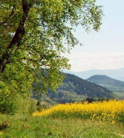 Photos for house 148713