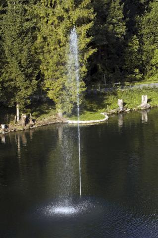 Photos for house 148747