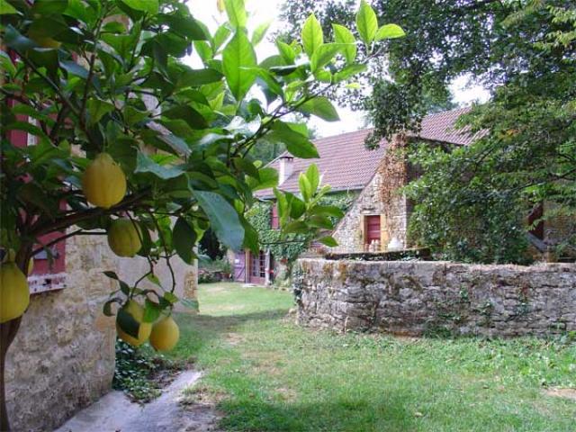 Photos for house 148762