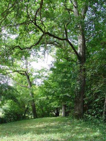 Photos for house 148762