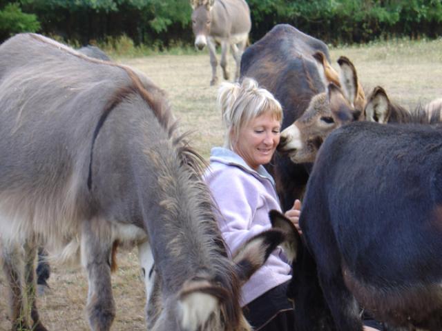 Photos for house 148762