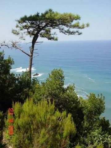 Photos for house 148967