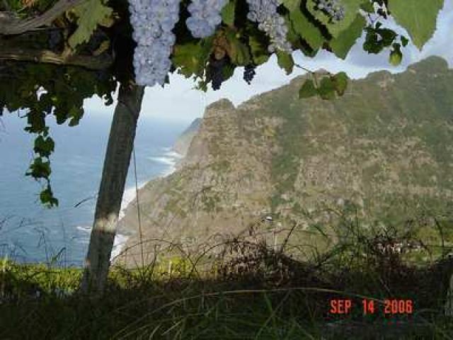 Photos for house 148967