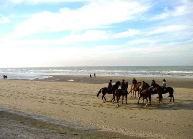 Photos for house 148970