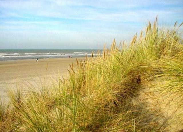 Photos for house 148970