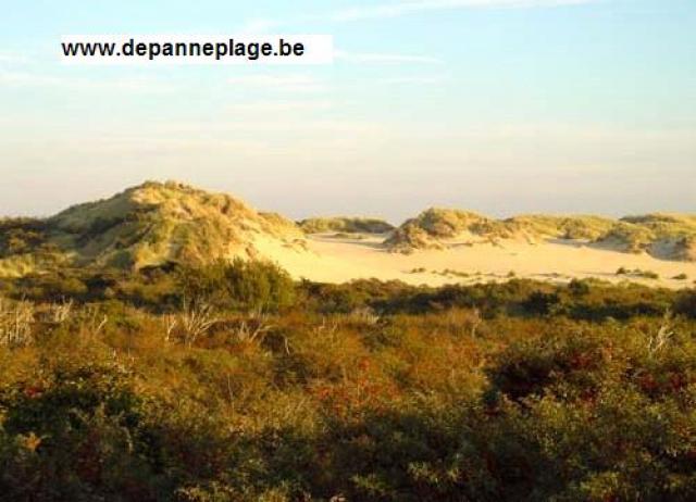 Photos for house 148970