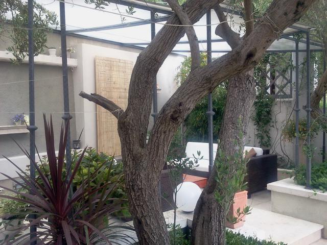 Photos for house 149012