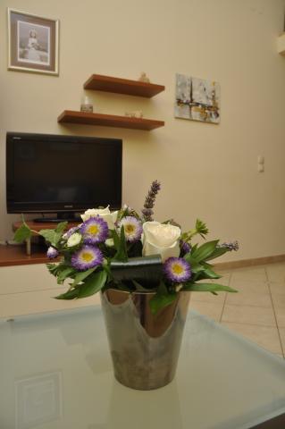 Photos for house 149012