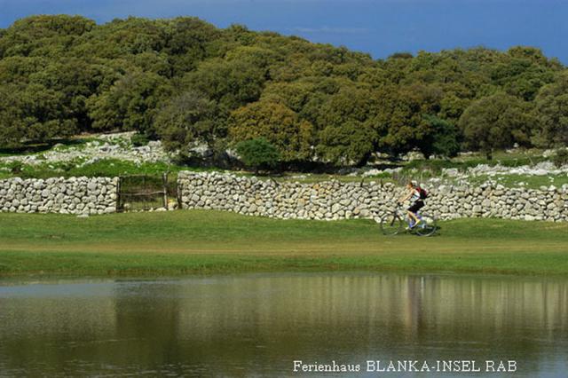 Photos for house 149013