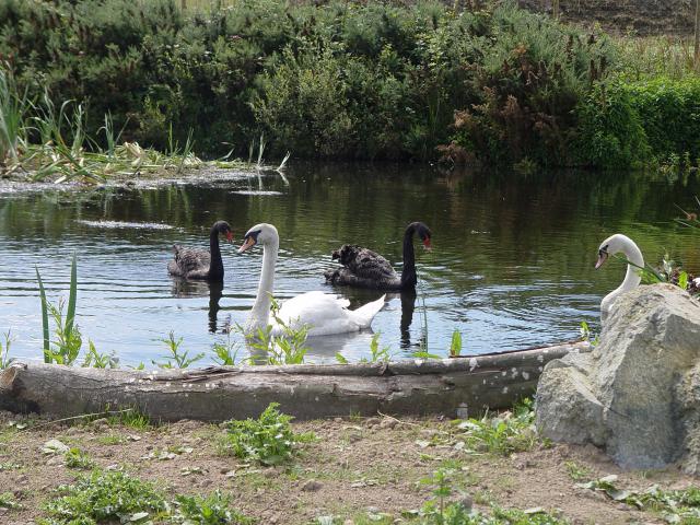 Photos for house 149075