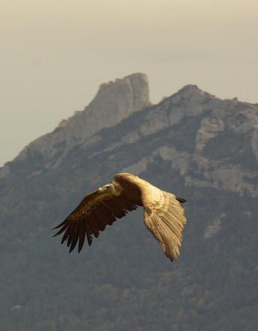 Photos for house 149132