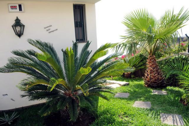 Photos for house 149164