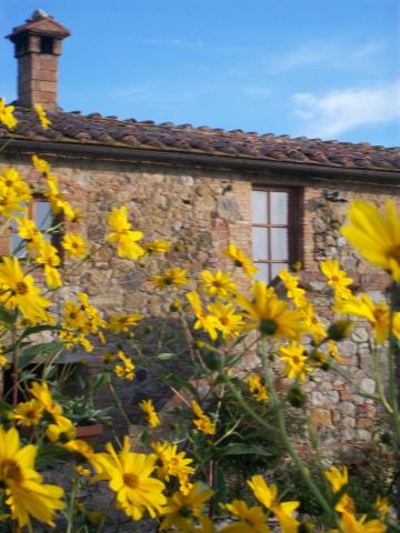 Photos for house 149273