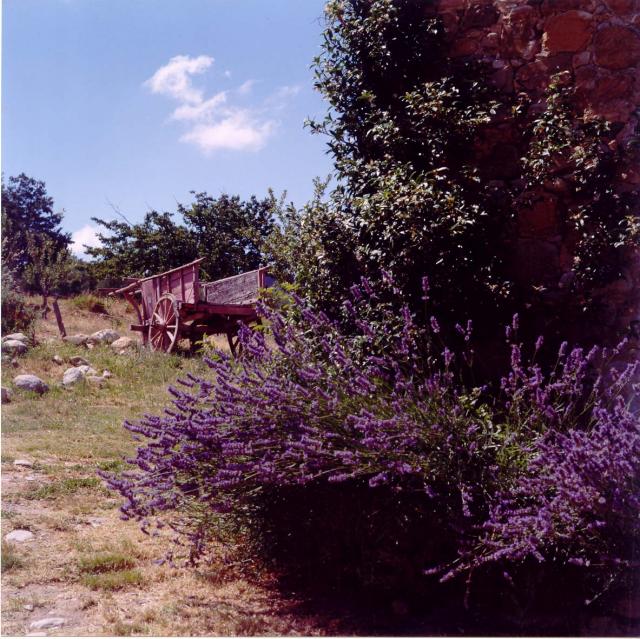 Photos for house 149273