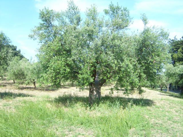 Photos for house 149323