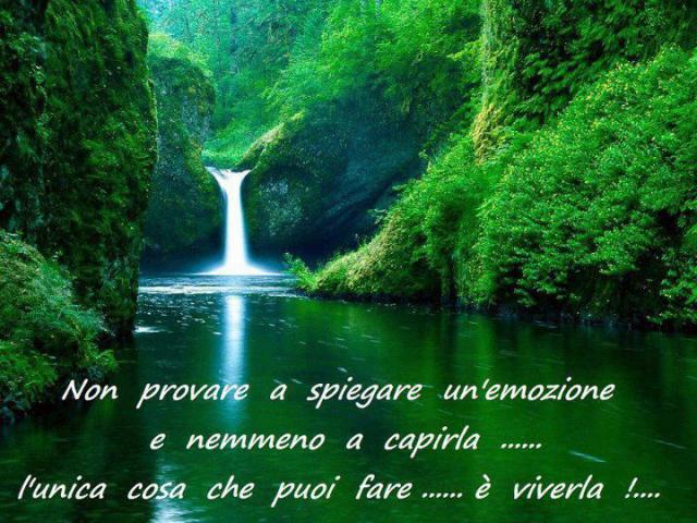 Photos for house 149323