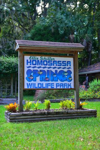 Photos for house 149325