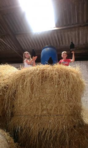 Photos for house 149397