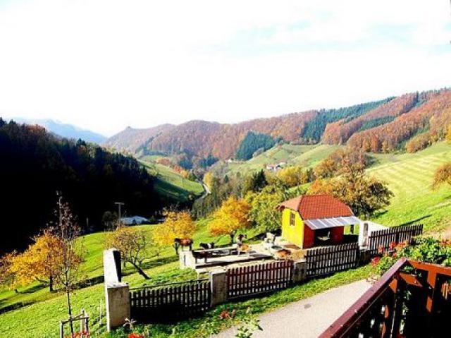 Photos for house 149420