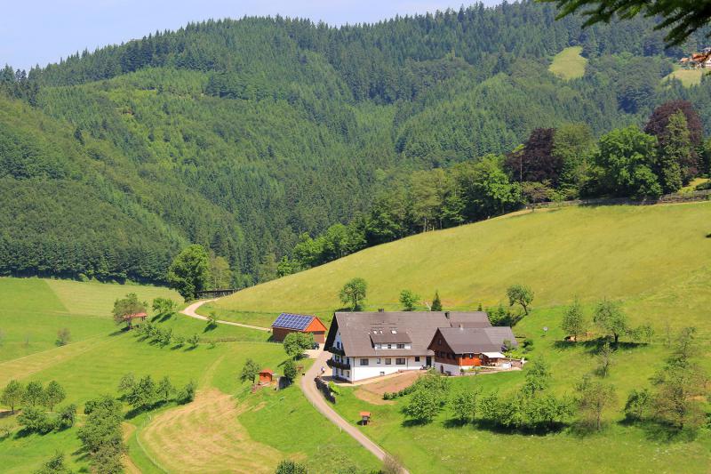 Photos for house 149420