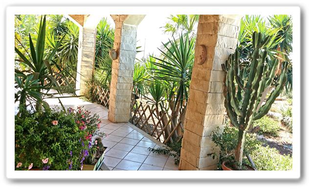 Photos for house 149445