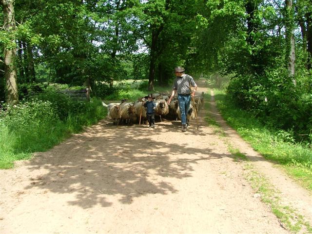 Photos for house 149459