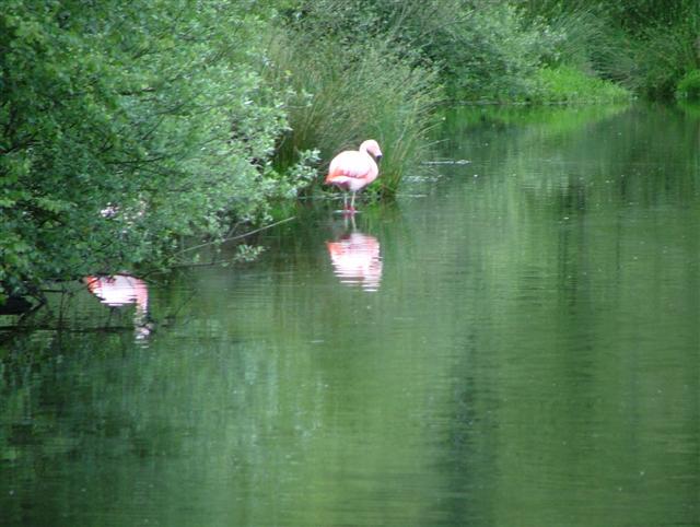 Photos for house 149459