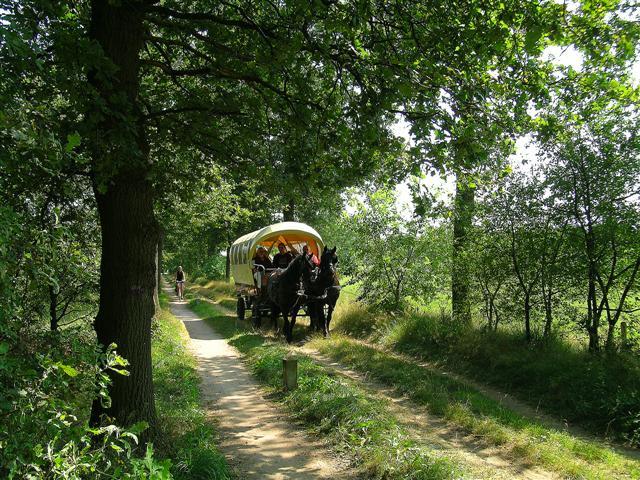 Photos for house 149459