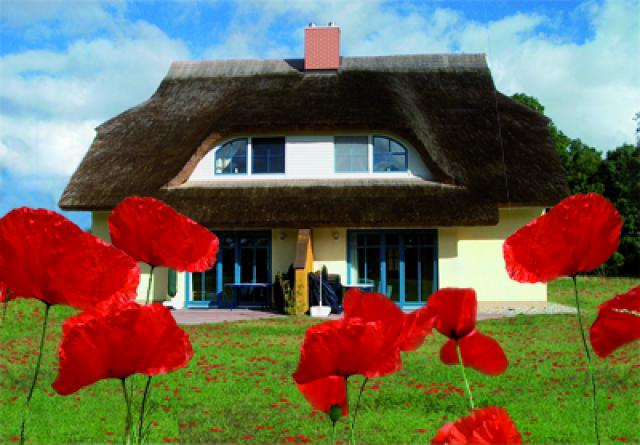 Photos for house 149462