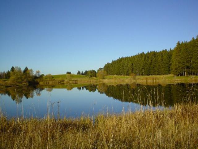 Photos for house 149509