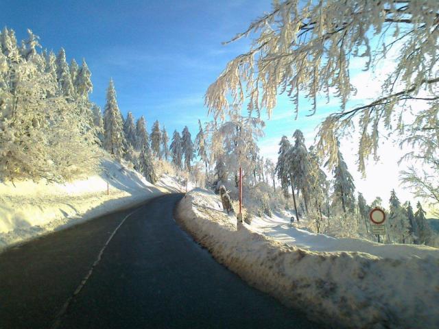 Photos for house 149512