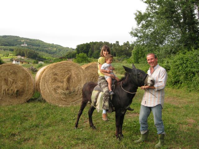 Photos for house 149703