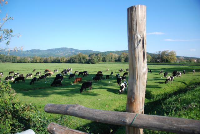 Photos for house 149703