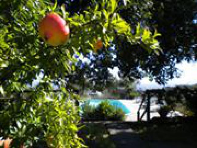 Photos for house 149751