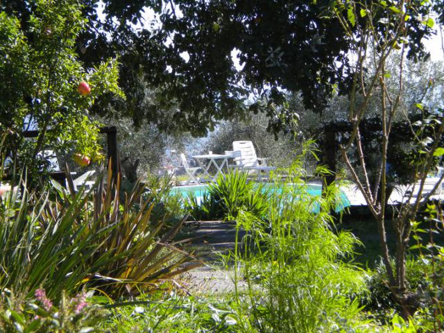 Photos for house 149751