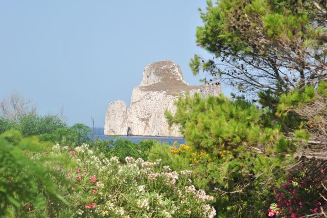 Photos for house 149752