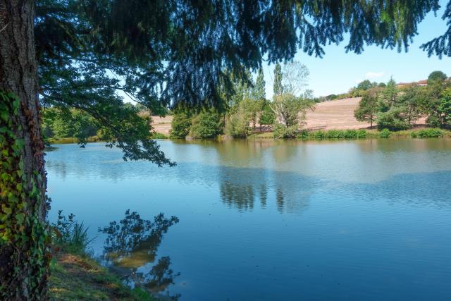 Photos for house 149802