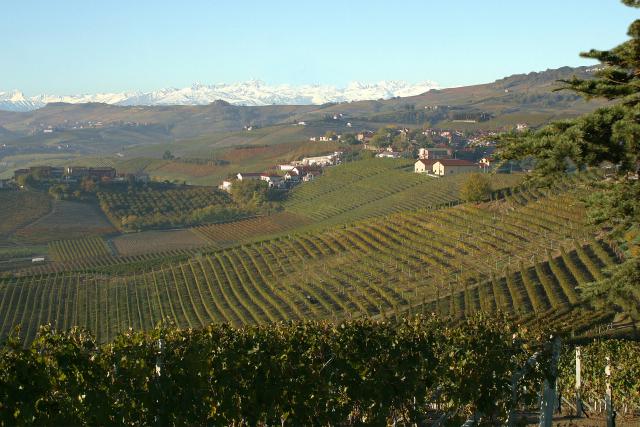 Photos for house 149862