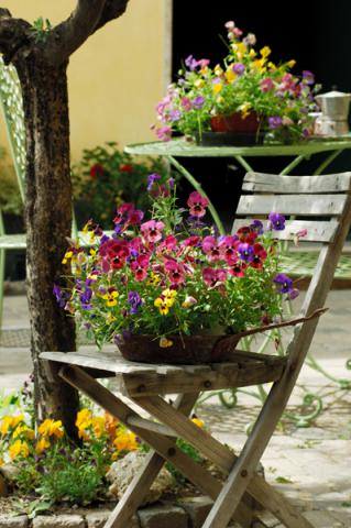 Photos for house 149862