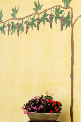 Photos for house 149862