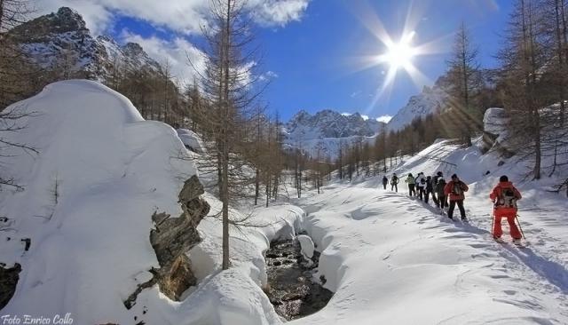 Photos for house 149904