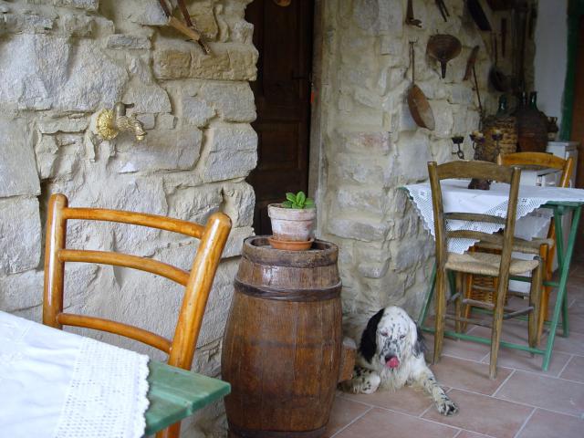 Photos for house 149906