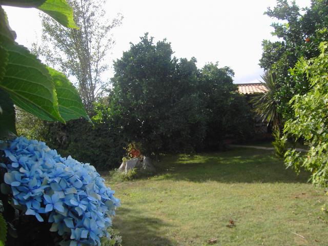 Photos for house 150226