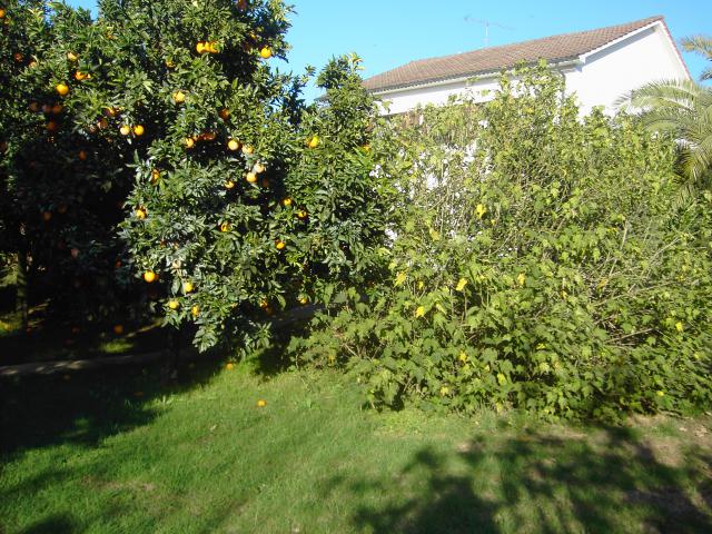 Photos for house 150226