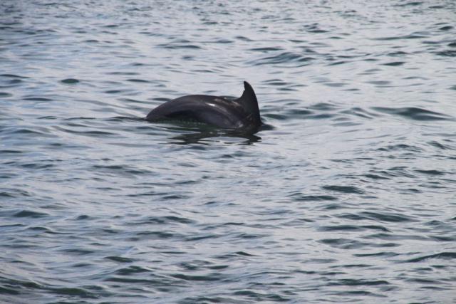 Photos for house 150367